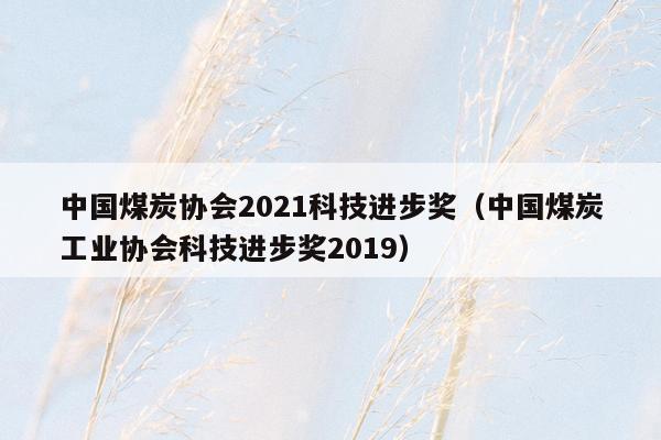 中国煤炭协会2021科技进步奖（中国煤炭工业协会科技进步奖2019）