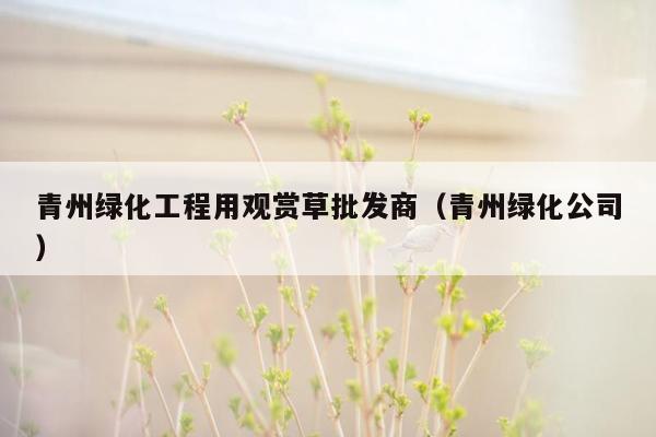 青州绿化工程用观赏草批发商（青州绿化公司）