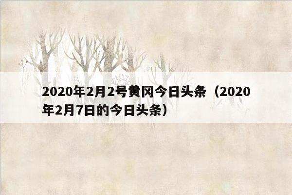 2020年2月2号黄冈今日头条（2020年2月7日的今日头条）