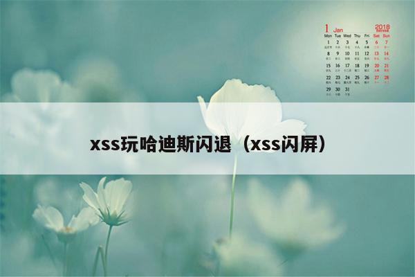 xss玩哈迪斯闪退（xss闪屏）