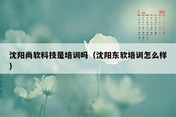 沈阳尚软科技是培训吗（沈阳东软培训怎么样）