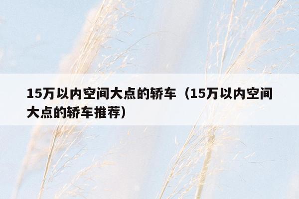 15万以内空间大点的轿车（15万以内空间大点的轿车推荐）