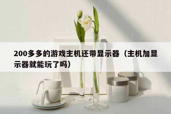 200多多的游戏主机还带显示器（主机加显示器就能玩了吗）