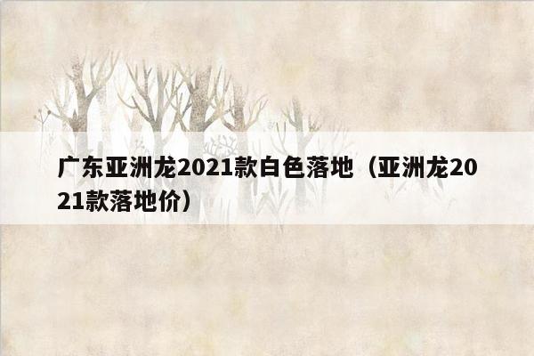 广东亚洲龙2021款白色落地（亚洲龙2021款落地价）