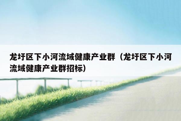 龙圩区下小河流域健康产业群（龙圩区下小河流域健康产业群招标）