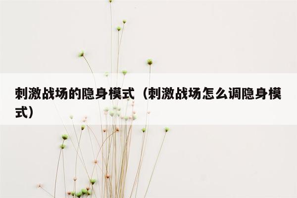 刺激战场的隐身模式（刺激战场怎么调隐身模式）