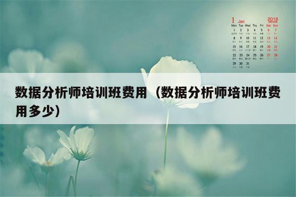 数据分析师培训班费用（数据分析师培训班费用多少）