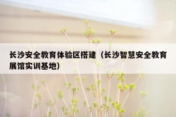 长沙安全教育体验区搭建（长沙智慧安全教育展馆实训基地）