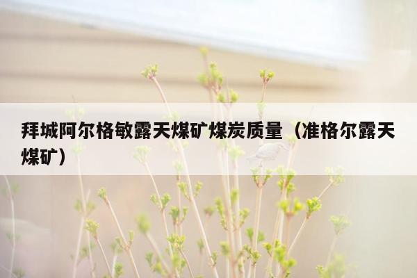 拜城阿尔格敏露天煤矿煤炭质量（准格尔露天煤矿）