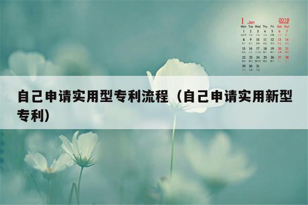 自己申请实用型专利流程（自己申请实用新型专利）