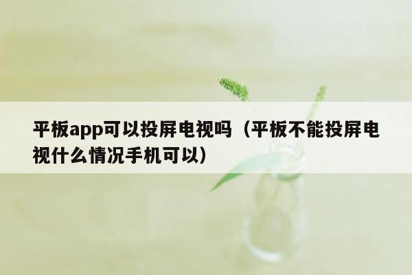 平板app可以投屏电视吗（平板不能投屏电视什么情况手机可以）