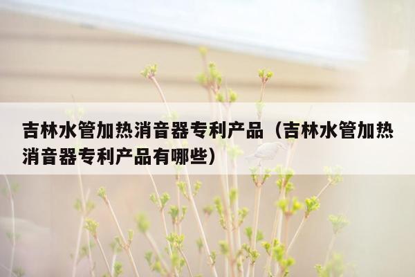 吉林水管加热消音器专利产品（吉林水管加热消音器专利产品有哪些）