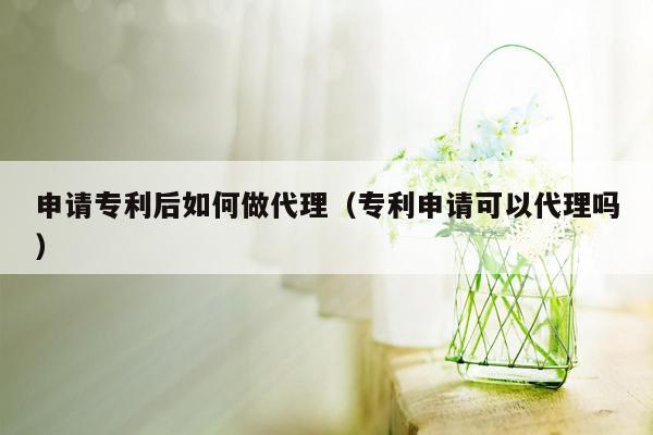 申请专利后如何做代理（专利申请可以代理吗）