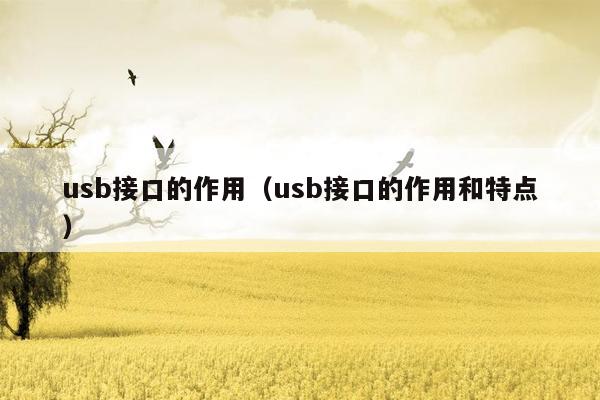 usb接口的作用（usb接口的作用和特点）