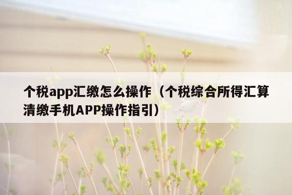 个税app汇缴怎么操作（个税综合所得汇算清缴手机APP操作指引）