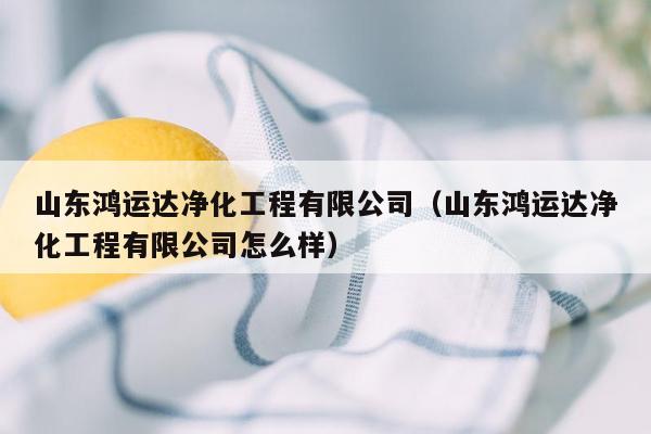 山东鸿运达净化工程有限公司（山东鸿运达净化工程有限公司怎么样）