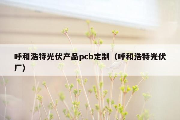 呼和浩特光伏产品pcb定制（呼和浩特光伏厂）