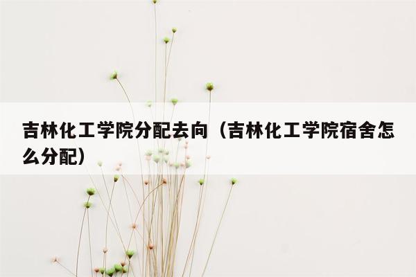 吉林化工学院分配去向（吉林化工学院宿舍怎么分配）