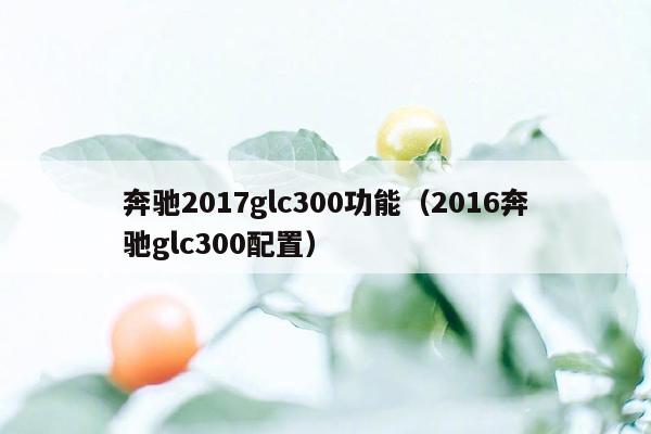 奔驰2017glc300功能（2016奔驰glc300配置）