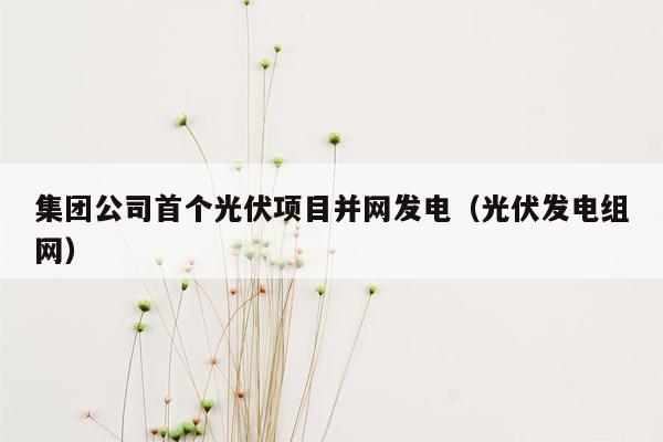 集团公司首个光伏项目并网发电（光伏发电组网）