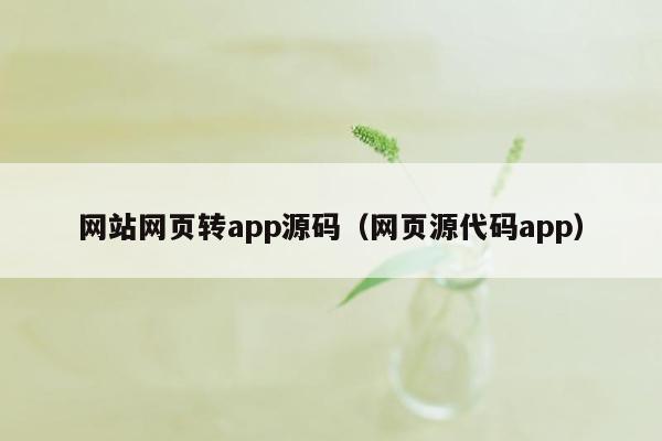 网站网页转app源码（网页源代码app）