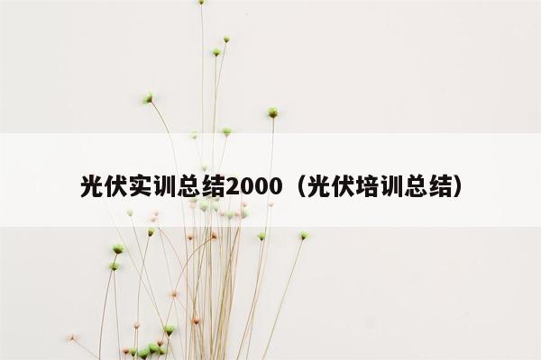 光伏实训总结2000（光伏培训总结）