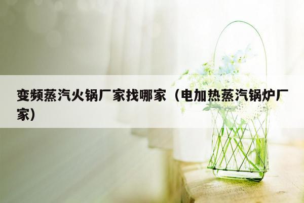 变频蒸汽火锅厂家找哪家（电加热蒸汽锅炉厂家）