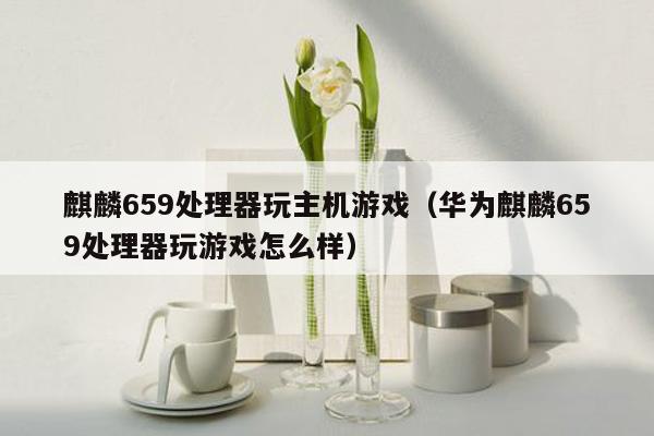 麒麟659处理器玩主机游戏（华为麒麟659处理器玩游戏怎么样）