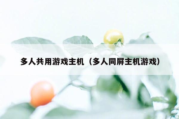 多人共用游戏主机（多人同屏主机游戏）