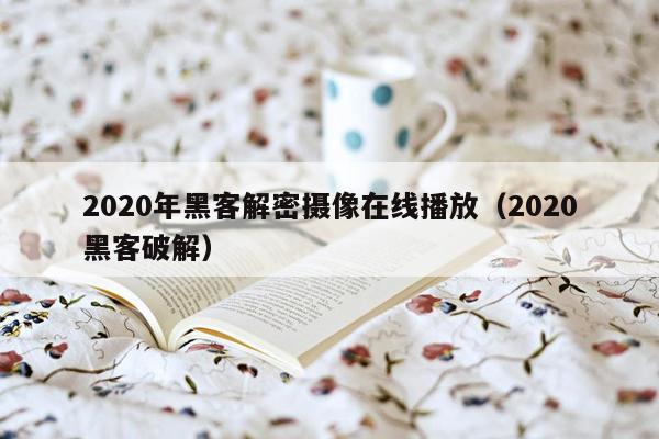 2020年黑客解密摄像在线播放（2020黑客破解）