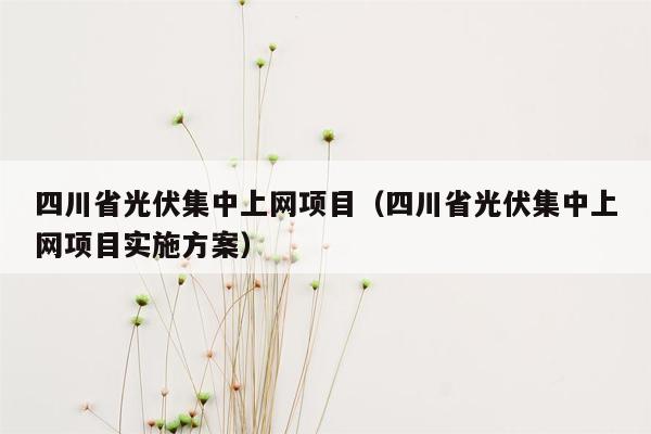 四川省光伏集中上网项目（四川省光伏集中上网项目实施方案）