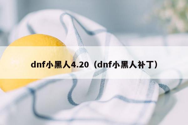 dnf小黑人4.20（dnf小黑人补丁）