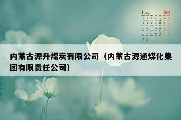 内蒙古源升煤炭有限公司（内蒙古源通煤化集团有限责任公司）