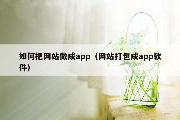 如何把网站做成app（网站打包成app软件）