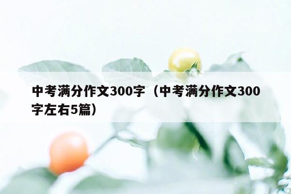 中考满分作文300字（中考满分作文300字左右5篇）