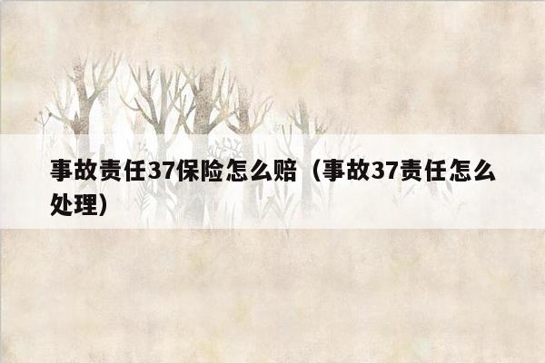 事故责任37保险怎么赔（事故37责任怎么处理）