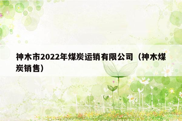 神木市2022年煤炭运销有限公司（神木煤炭销售）