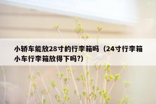 小轿车能放28寸的行李箱吗（24寸行李箱小车行李箱放得下吗?）