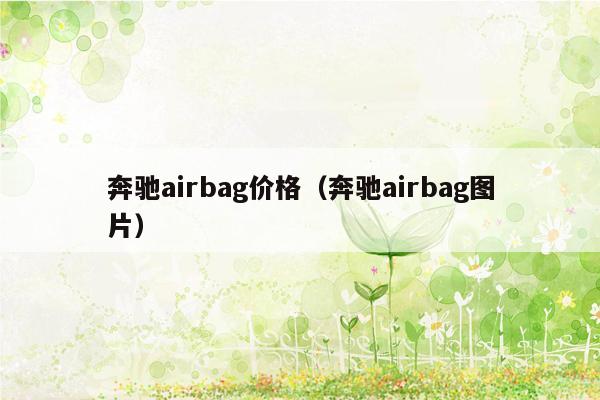 奔驰airbag价格（奔驰airbag图片）