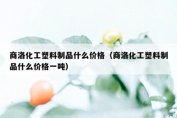 商洛化工塑料制品什么价格（商洛化工塑料制品什么价格一吨）