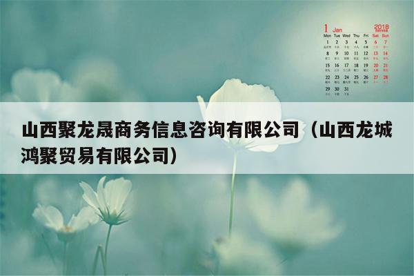 山西聚龙晟商务信息咨询有限公司（山西龙城鸿聚贸易有限公司）