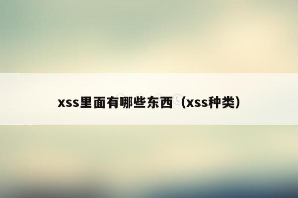 xss里面有哪些东西（xss种类）