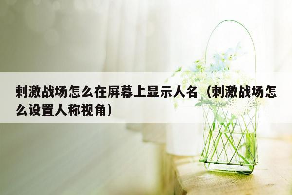 刺激战场怎么在屏幕上显示人名（刺激战场怎么设置人称视角）