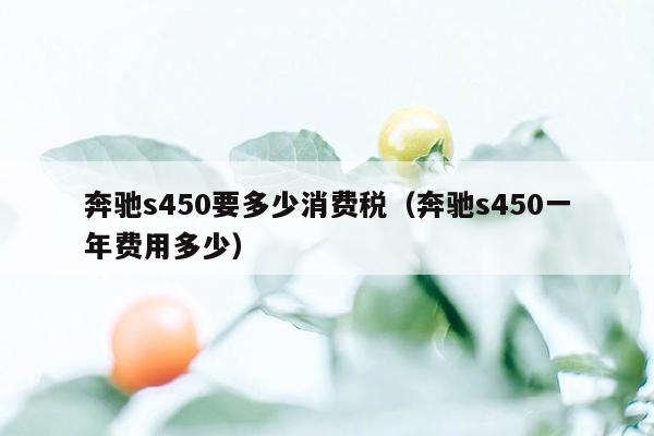 奔驰s450要多少消费税（奔驰s450一年费用多少）