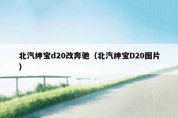 北汽绅宝d20改奔驰（北汽绅宝D20图片）