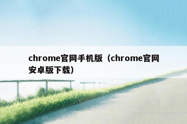 chrome官网手机版（chrome官网安卓版下载）