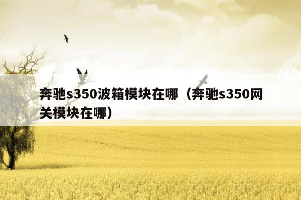 奔驰s350波箱模块在哪（奔驰s350网关模块在哪）