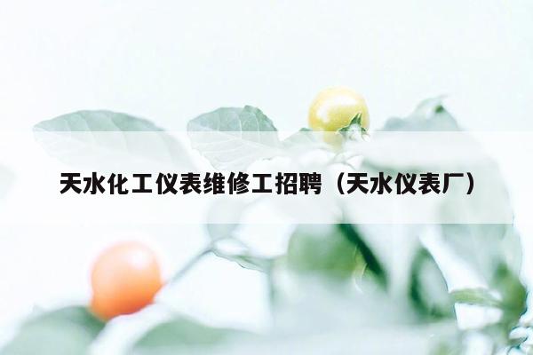 天水化工仪表维修工招聘（天水仪表厂）