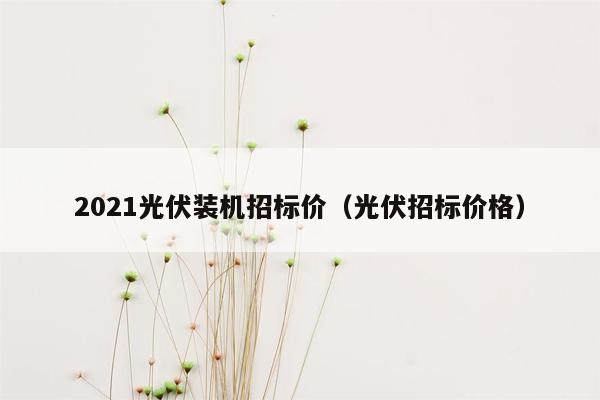 2021光伏装机招标价（光伏招标价格）