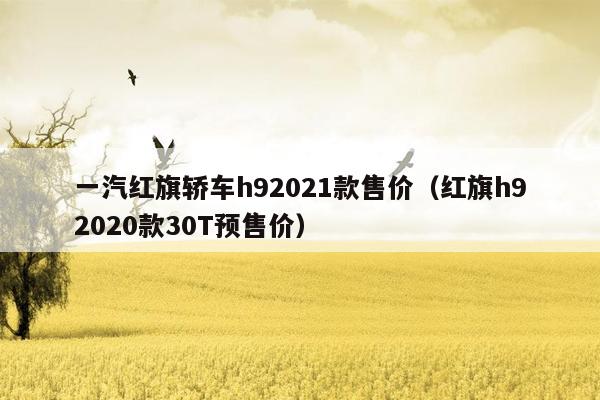 一汽红旗轿车h92021款售价（红旗h92020款30T预售价）